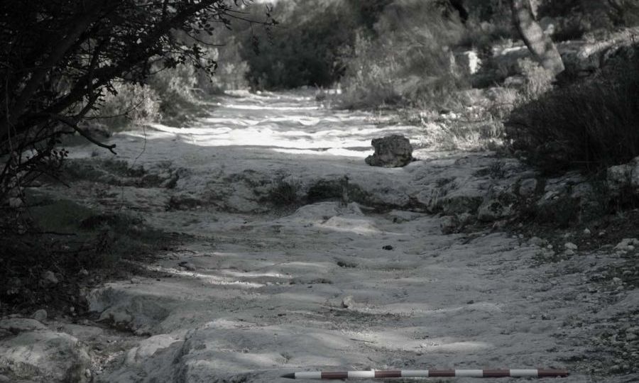 CAMINO MOZÁRABE SANTIAGO 2