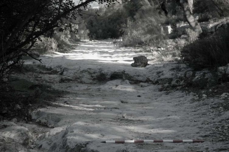 CAMINO MOZÁRABE SANTIAGO 2